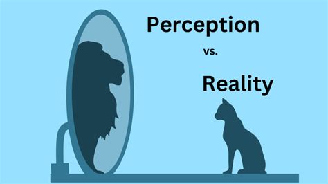 Perception vs. Reality – Cultivation(s)