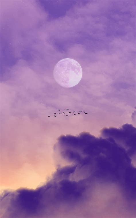 Download Light Purple Aesthetic Moon And Clouds Wallpaper | Wallpapers.com