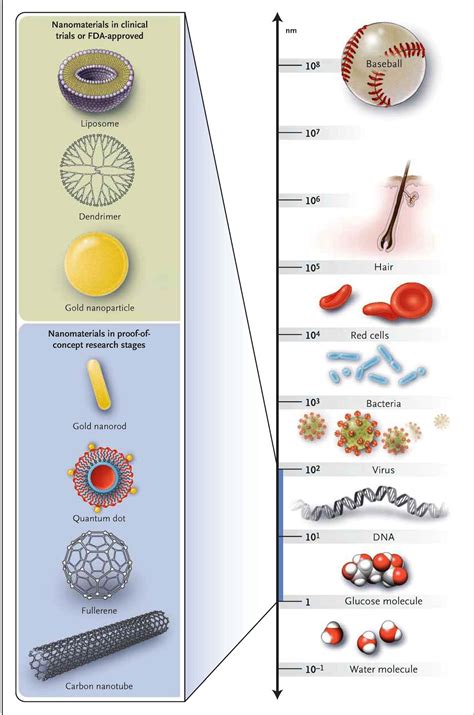 Intro2Res International 2014: Nanotechnology in biomedicine