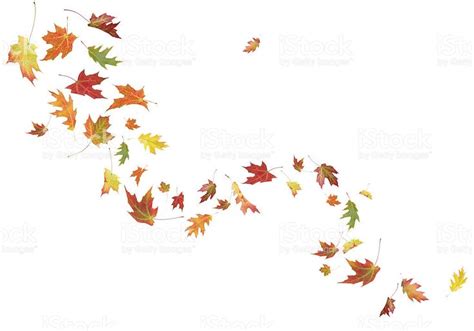 Autumn Leaves Blowing In The Wind Stock ... | Fall leaves tattoo, Tree ...