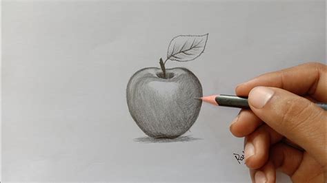 Apple Basket Pencil Sketch By Cynthia Schoeppel | ubicaciondepersonas ...