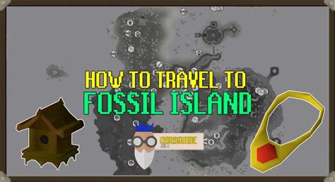 How to get to Fossil Island in OSRS | Full Guide to Fossil Island