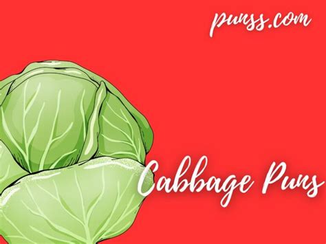 75+ Cabbage Puns: Jokes And One-Liners