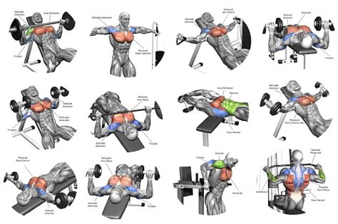 5 Tips For the Best Chest Workout ~ multiple fitness