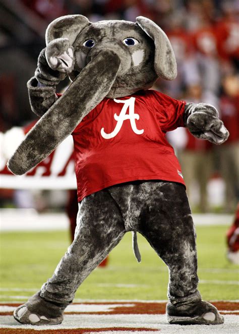 college mascots 171 cbs philly | Crimson tide mascot, Alabama crimson ...