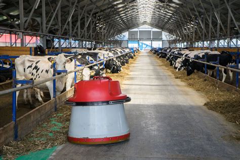 Challenges, opportunities and prospects for EU dairy - Dairy Global