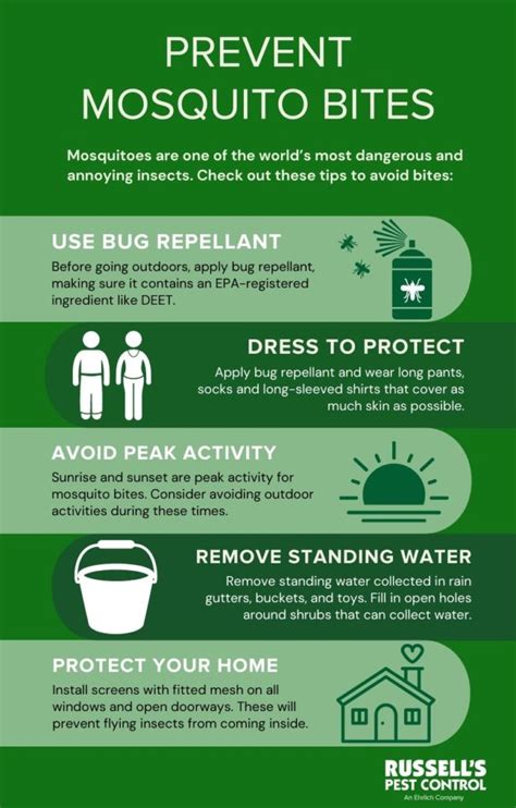 Mosquito Bite Prevention and Treatment | Prevent Mosquito Bites