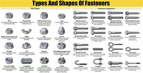 Types And Shapes Of Fasteners, Nuts, Screw Head, And washers ...