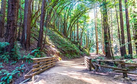 Hiking Trails Near Me: How To Find The Best Local Hikes - Hiker Time