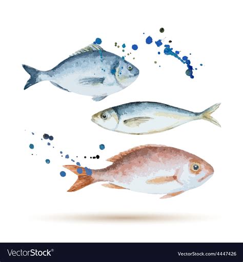 Watercolor fish Royalty Free Vector Image - VectorStock