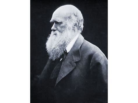 Charles Darwin | Biography & Facts | Britannica.com