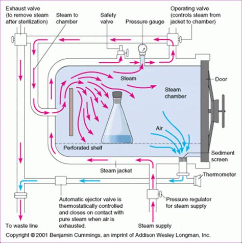 Autoclave Sterilization: Principle, Procedure, Types, Uses • Microbe Online