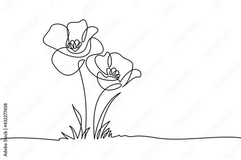 Poppy flowers in continuous line art drawing style. Doodle floral ...