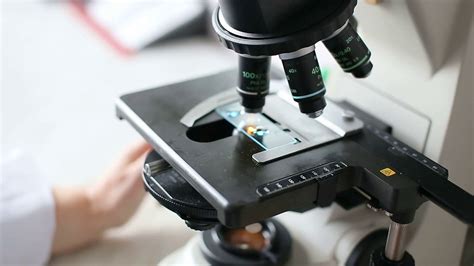 Microbiology Laboratory Work With Microscope Stock Footage SBV ...