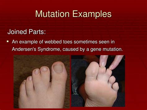 Mutation Non Examples Genetics Mutation And Cancer