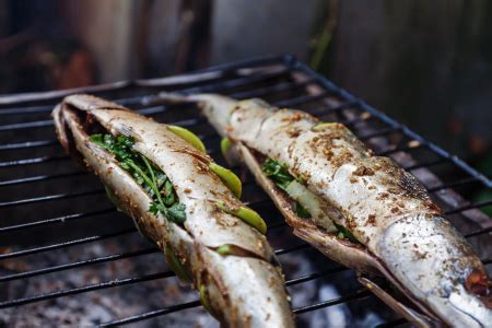 Easy Barbecue Fish Recipes