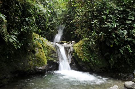 Mindo Cloud Forest – Ecuador Eco Adventures