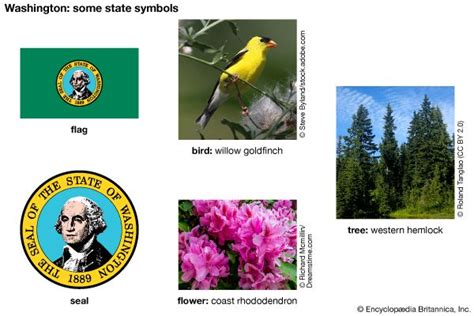 Wa State Symbols