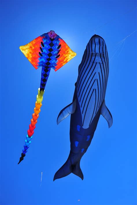 The Art Of Creating Kites And Flying Them - Bored Art