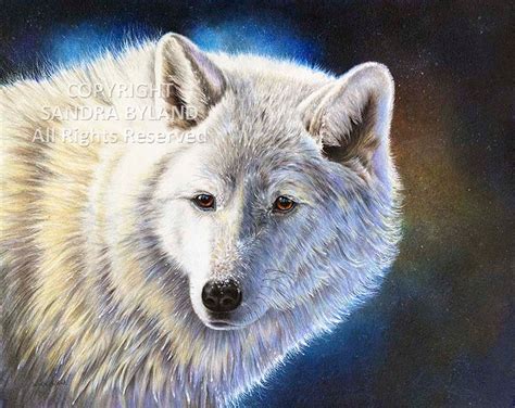 WHITE WOLF PAINTING by Sandra Byland Fine Art Giclee Colored - Etsy