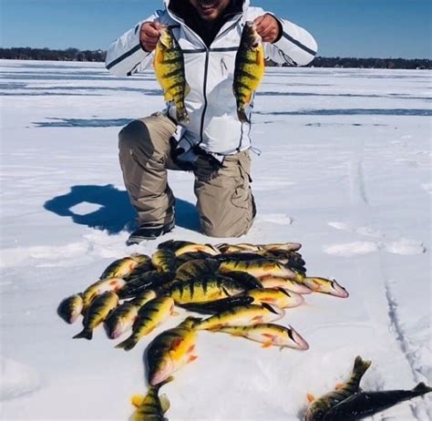 Ice Fishing on Lake Simcoe (Everything You Need to Know)