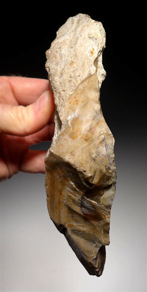 ENGLAND TWYDALL ACHEULIAN HAND AXE ROCHESTER MUSEUM BRITISH LOWER ...