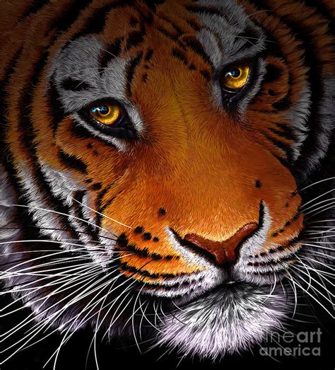 Tiger Classic Digital Art by Jurek Zamoyski