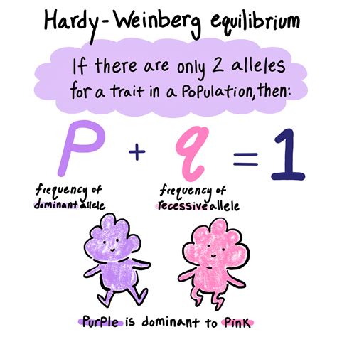 Explain about HardyWeinberg principle