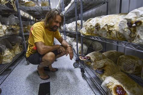 Former NFL QB Jake Plummer is now a mushroom farmer in Colorado [Video]