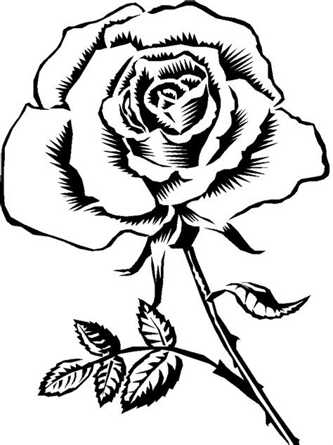 Download High Quality rose clipart black and white printable ...