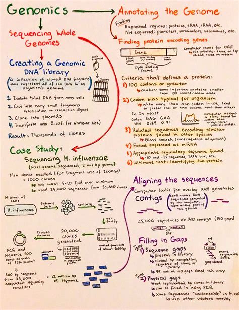 Introductory Biochemistry Flowcharts | Biochemistry, Study biology ...