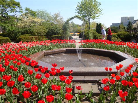 The Cleveland Botanical Garden | Luxuriance Style