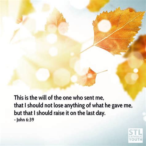 All Souls Day Quotes From Bible - the long side story