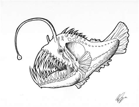 Angler Fish by Lyshastra on deviantART | Tatuaje animal, Pulpos dibujo ...