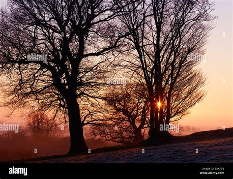 East Sussex Countryside Stock Photo - Alamy