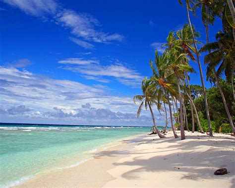 Beach Stock Photos - Free Stock Photos