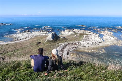 Kaikoura Peninsula Walkway: Clifftop Hike Above the Seal Colony