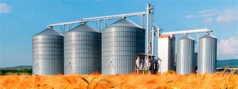 Storage Silos: What are They, Types and Advantages | Elebia Blog | Elebia