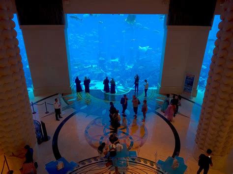 Massive aquarium at Atlantis Resort in Dubai, in the United Arab ...