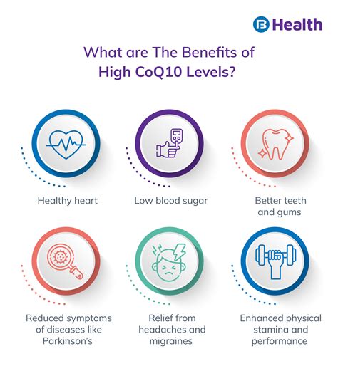 Coenzyme Q10: A Guide to Understand the Perfect Intake