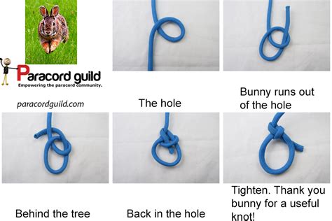 How To Tie A Bowline Knot Diagram