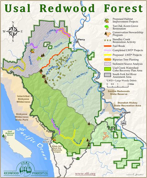 Where Is The Redwood Forest In California On A Map | Printable Maps