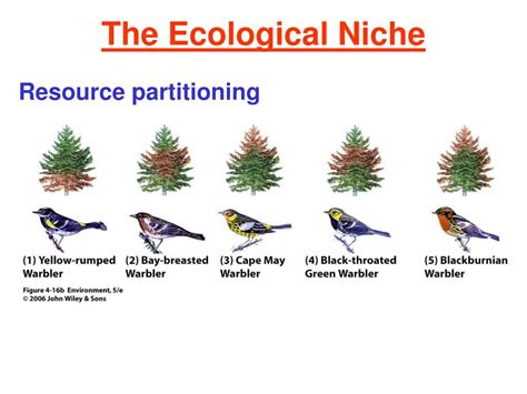 PPT - Ecosystems and Living Organisms PowerPoint Presentation, free ...