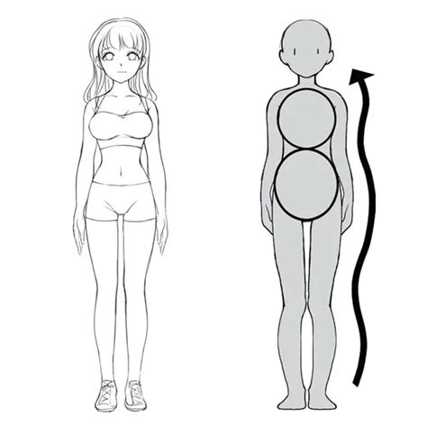 Differences between men and women’s bodies in anime - Anime Art Magazine