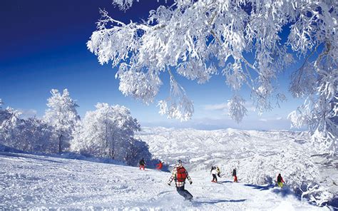 Nozawa Onsen Ski Resort - Spot｜New Golden Route – Tokyo-Osaka via Hokuriku