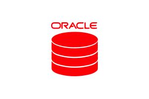 226 Oracle icon images at Vectorified.com