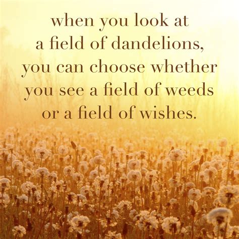 Pin on (Sandra) Dandelion Wishes!