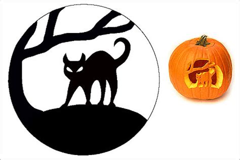 28 Halloween Cat Pumpkin Stencils for a spooky Halloween | Band of Cats