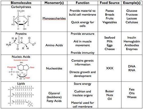 Unit 4: Chemistry of Life – CAMEO TAYLOR – Victoria West High School