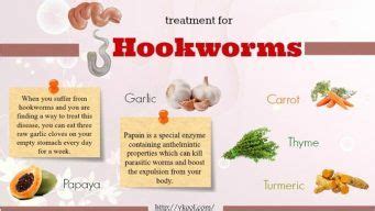 19 Best Natural Solutions Of Treatment For Hookworms